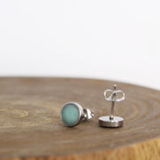 Stainless Turquoise Earrings