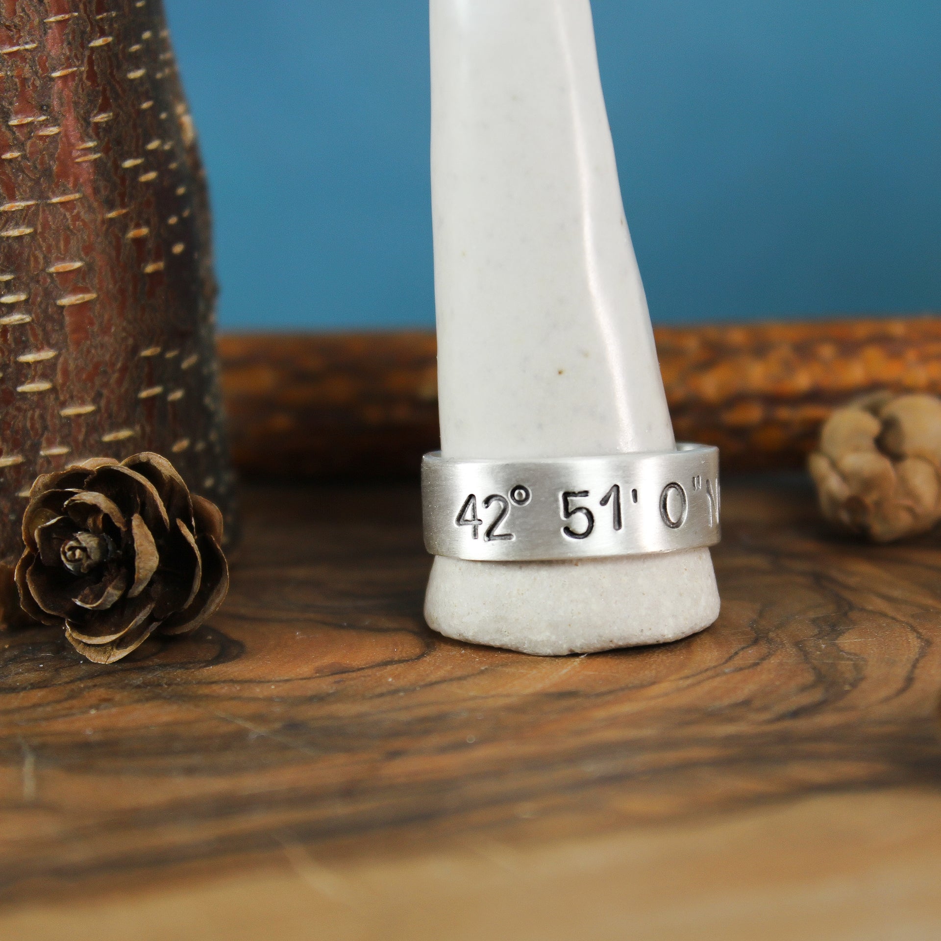 Silver Coordinate Ring