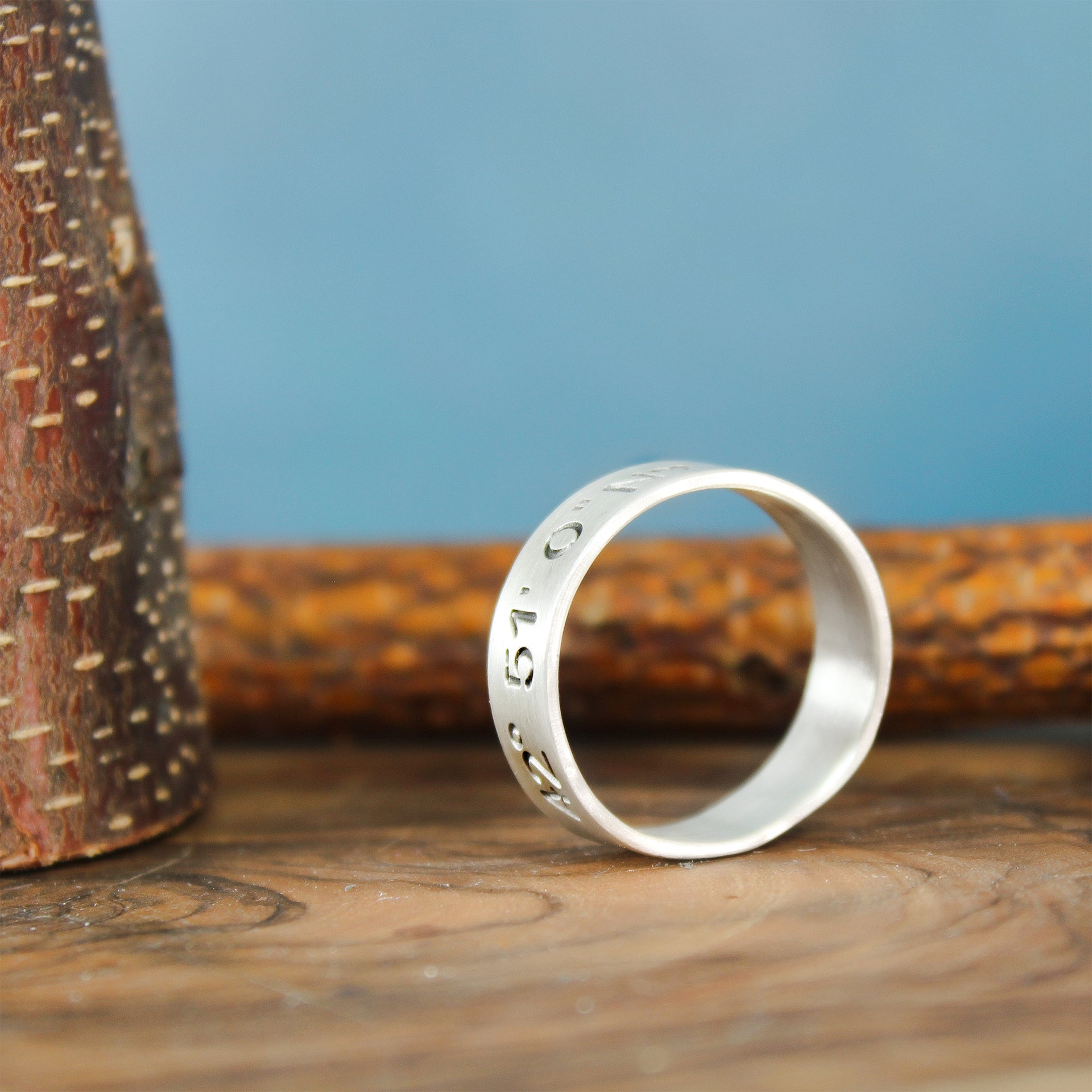 Silver Coordinate Ring