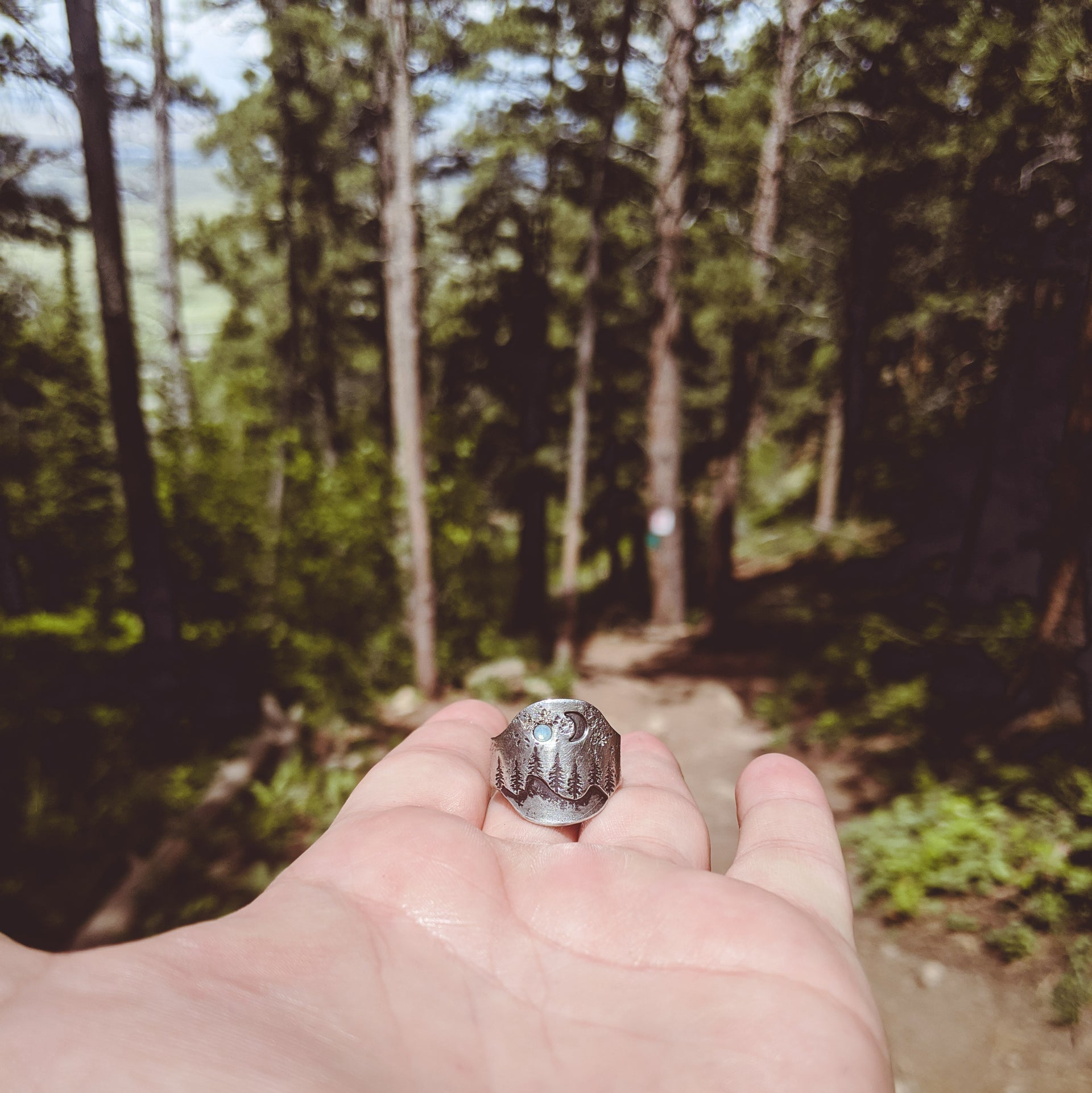 Mountain Range Ring in Nature