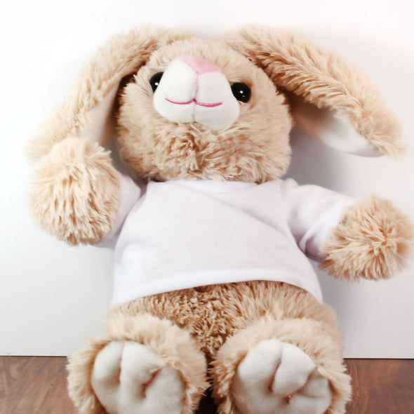 Alpha Omega Epsilon Bunny Alpha Omega Epsilon Gift 