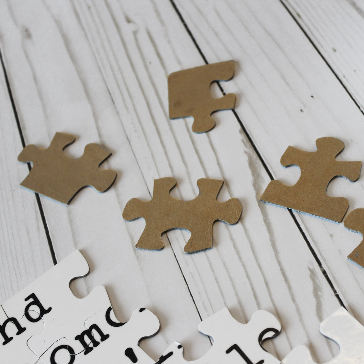 Sorority Puzzle - Sister Puzzle 