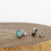 Stainless Turquoise Earrings 